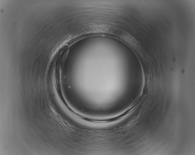 X0000056320676200508291222