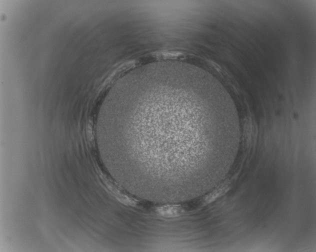 X0000056320761200508291221