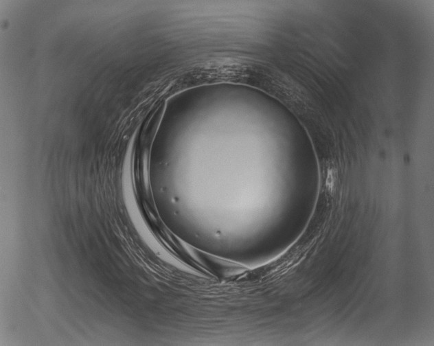 X0000056320771200508291220