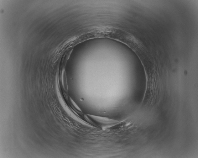 X0000056320773200508291220