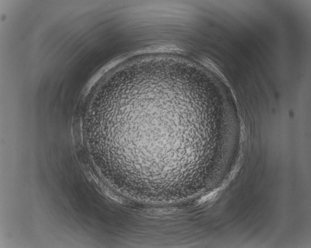 X0000056320781200508291220