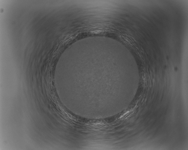 X0000056320817200508291219