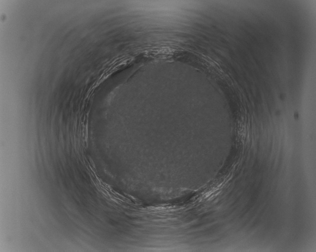X0000056320818200508291219