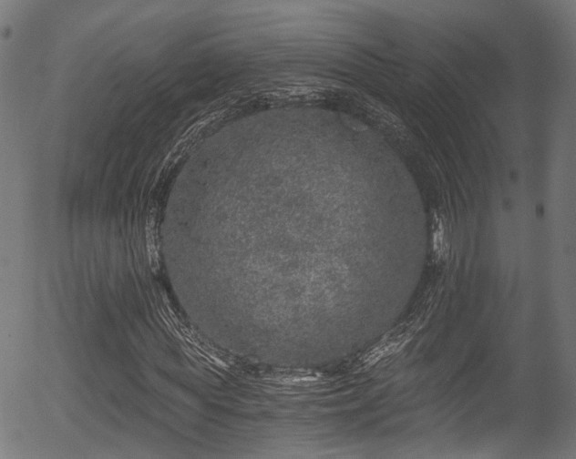 X0000056320819200508291219