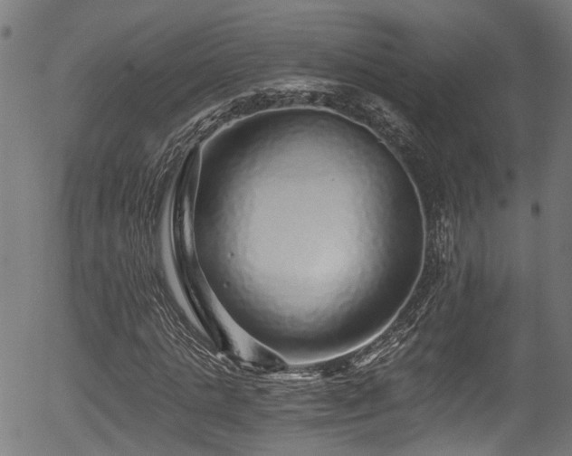 X0000056320821200508291219