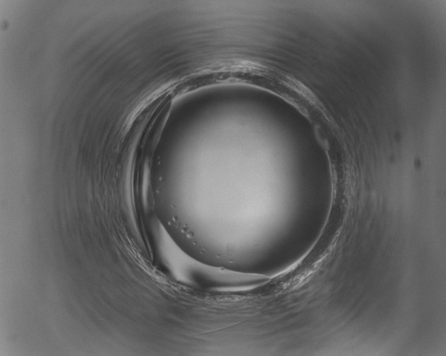 X0000056320826200508291219