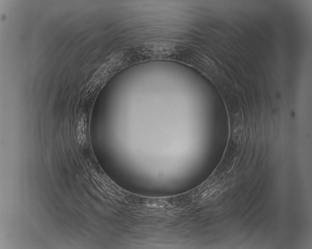 X0000056320866200508291219