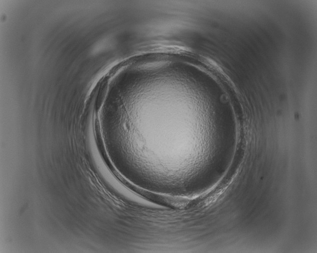 X0000056320875200508291219