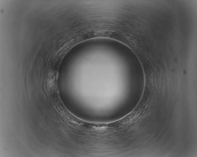 X0000056320914200508291217