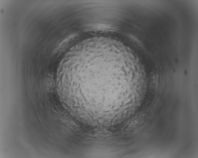 X0000056320918200508291217