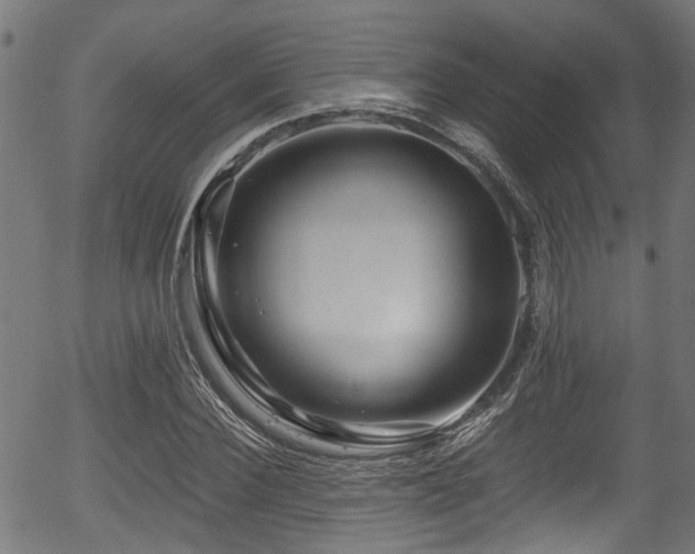 X0000056320924200508291217