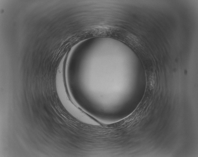 X0000056320964200508291217