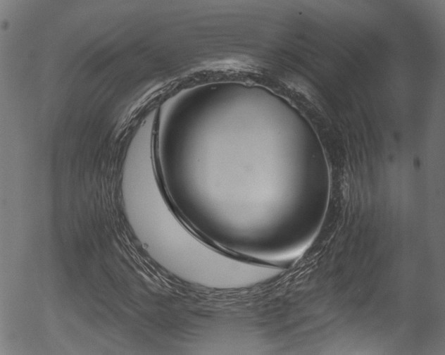 X0000056320968200508291217