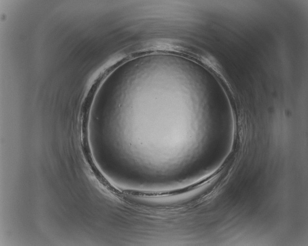 X0000056320987200508291217