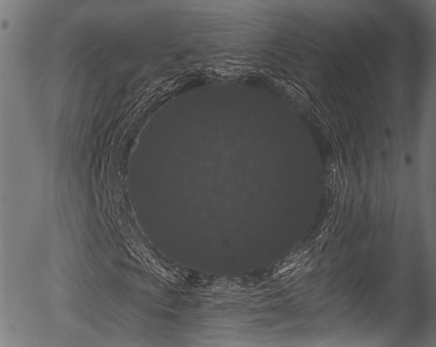 X0000056321009200508291216