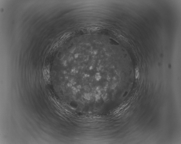 X0000056321011200508291216