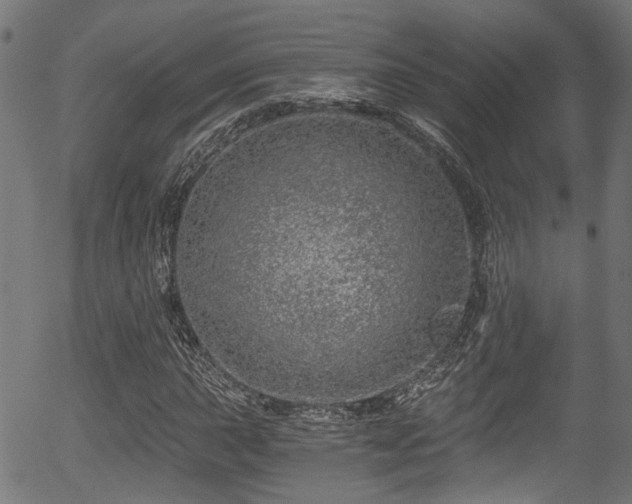 X0000056321015200508291216