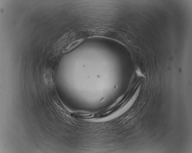 X0000056321058200508291216
