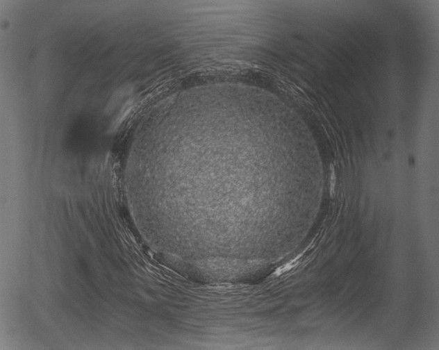 X0000056321059200508291216