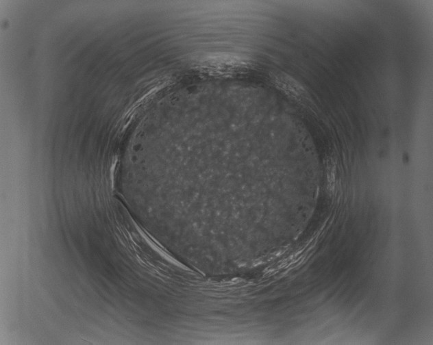 X0000056321060200508291216