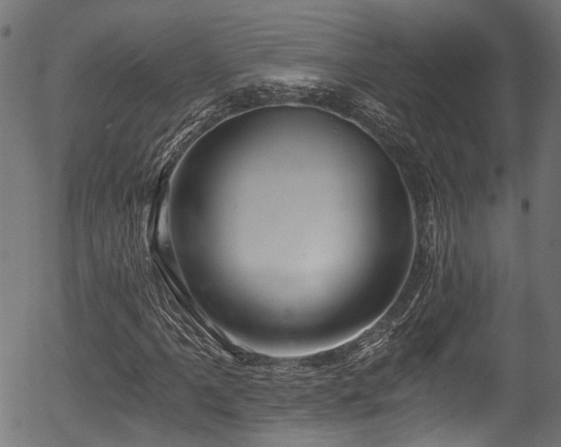 X0000056321061200508291216