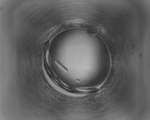 X0000056321062200508291216