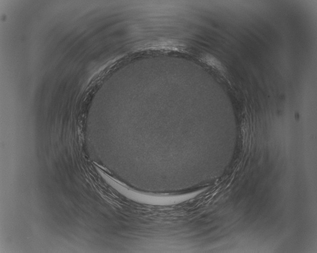 X0000056321064200508291216