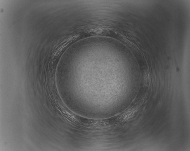 X0000056321105200508291214