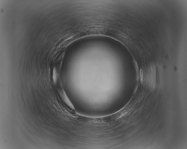 X0000056321107200508291214