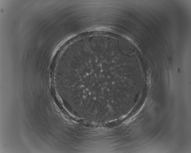 X0000056321117200508291214