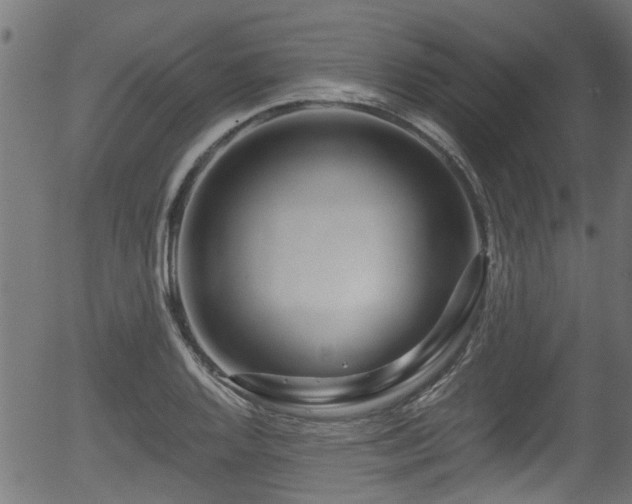 X0000056321128200508291214