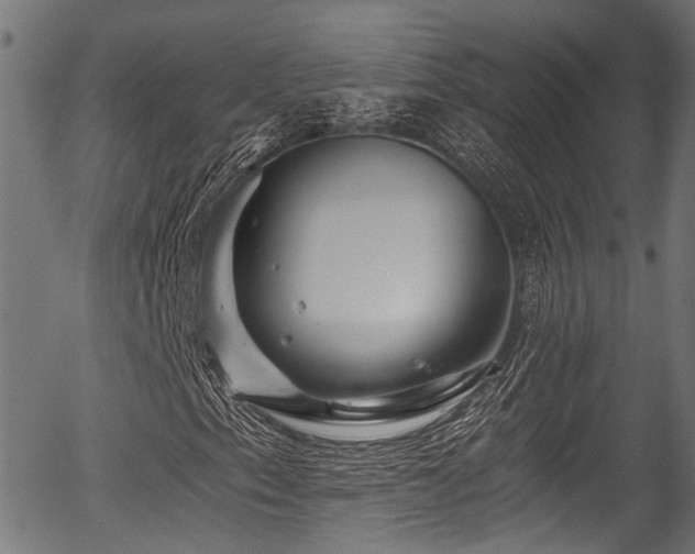X0000056321153200508291214