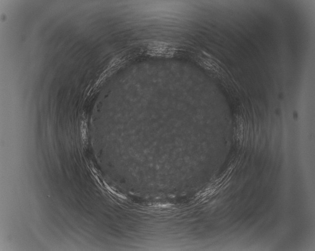 X0000056321154200508291214