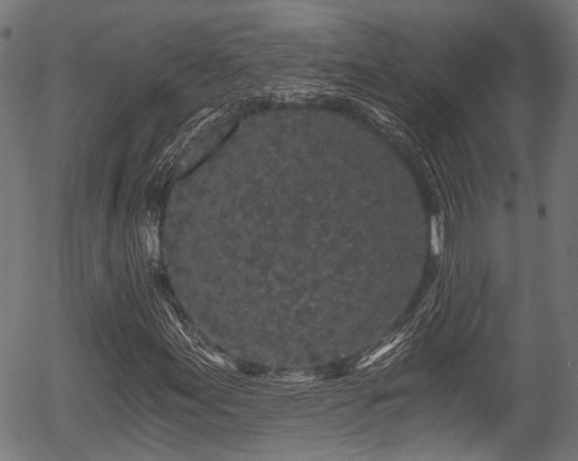 X0000056321155200508291214