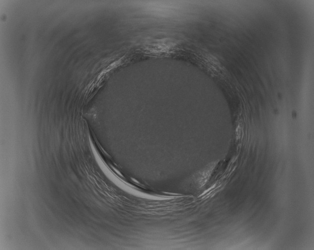 X0000056321156200508291214