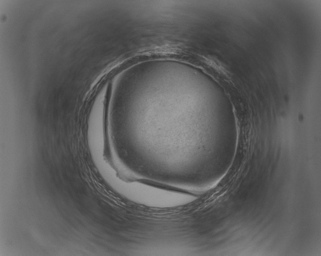 X0000056321160200508291214