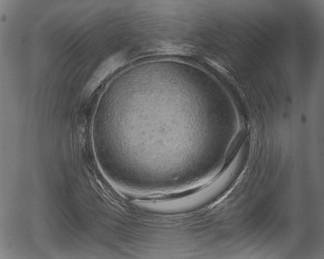 X0000056321163200508291214