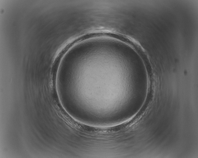 X0000056321167200508291214