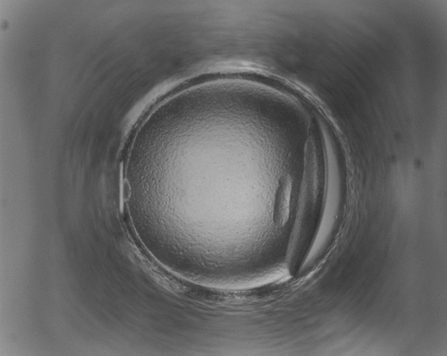 X0000056321175200508291214