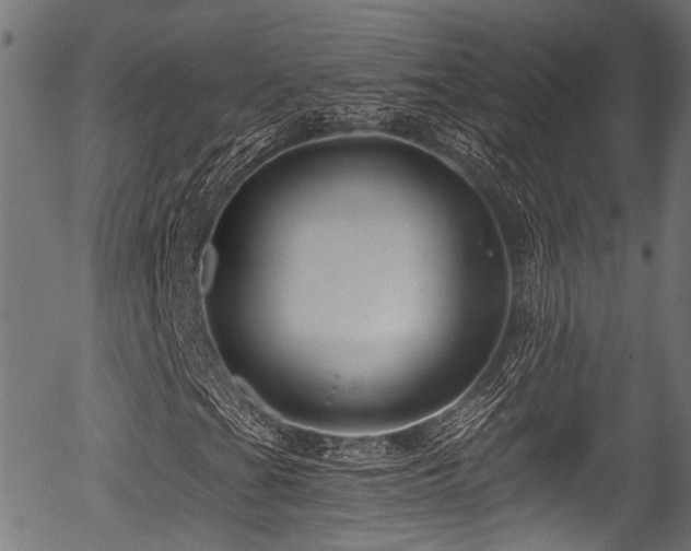 X0000056321201200508291212