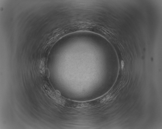 X0000056321203200508291212