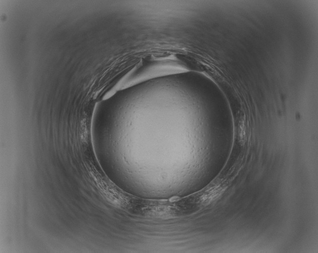 X0000056321204200508291212