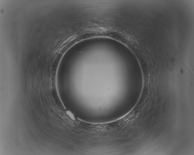 X0000056321205200508291213