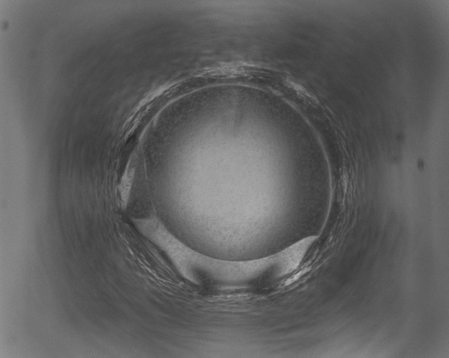 X0000056321206200508291213