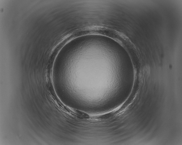 X0000056321209200508291213