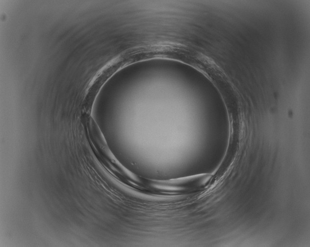 X0000056321210200508291213