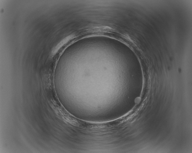 X0000056321211200508291213