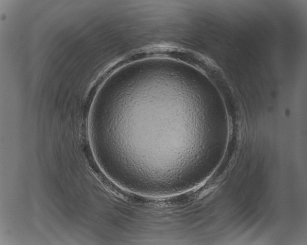 X0000056321217200508291213