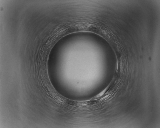 X0000056321249200508291212