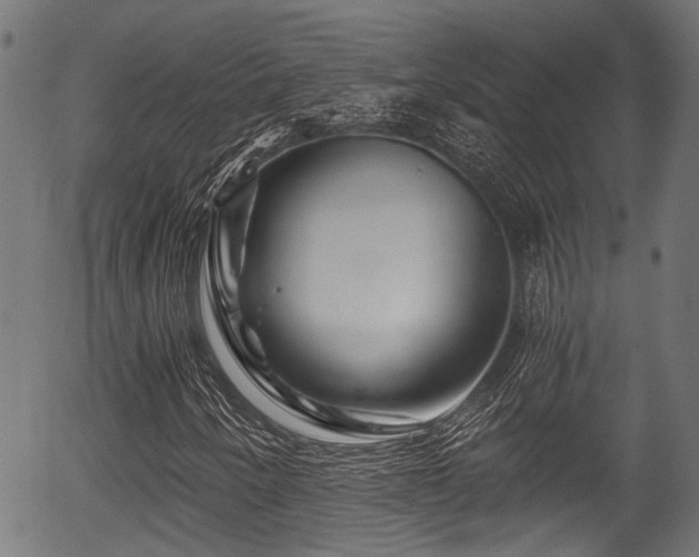 X0000056321250200508291212